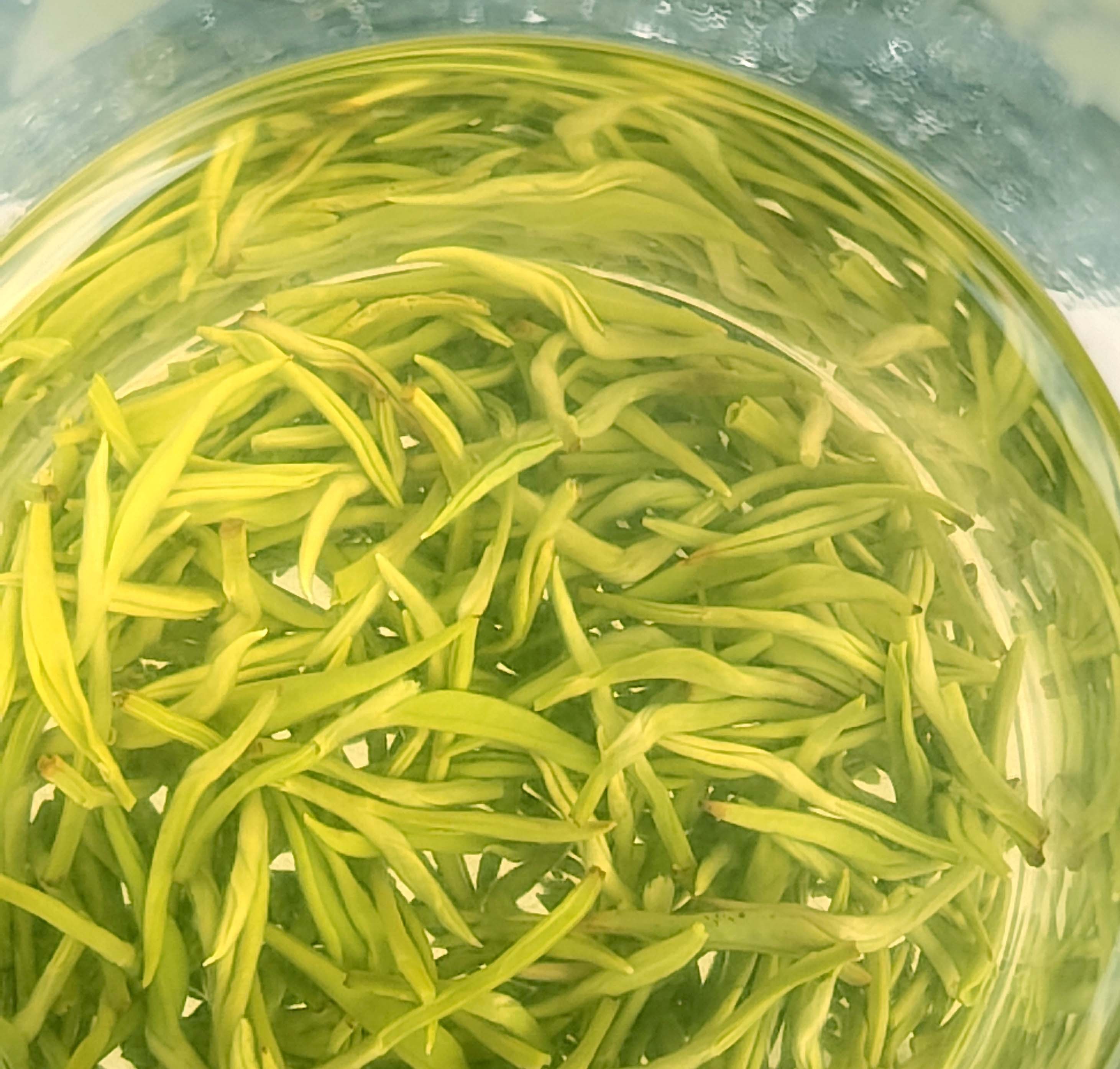 明前碧螺春（へきらしゅん） 緑茶 特級一芯一葉で摘まれる高級茶だし！